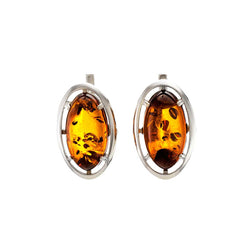 Baltic Amber Earrings E01SA0024a