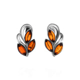 Baltic Amber Earrings E01SA0040a