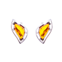 Baltic Amber Earrings E02SC0019a